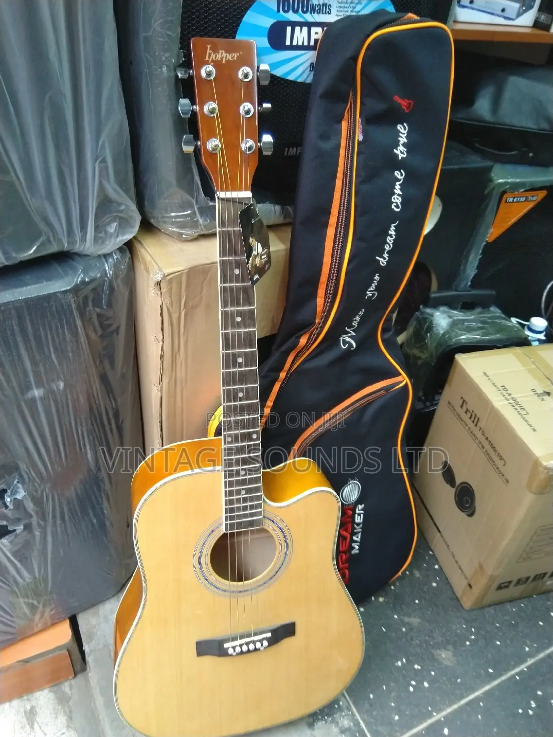 Acoustic Guitar & Padded Bag