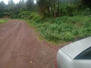 Karatina/ Ruthagati Main Tarmac