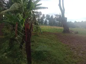 Karatina/ Ruthagati Main Tarmac