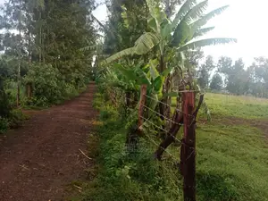 Karatina/ Ruthagati Main Tarmac