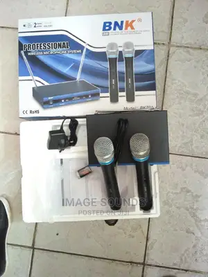 Bnk-701 Wireless Mic