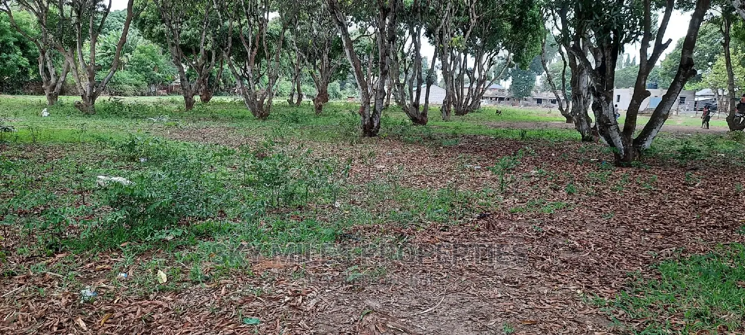 50/100 Plots on Sale Mtwapa