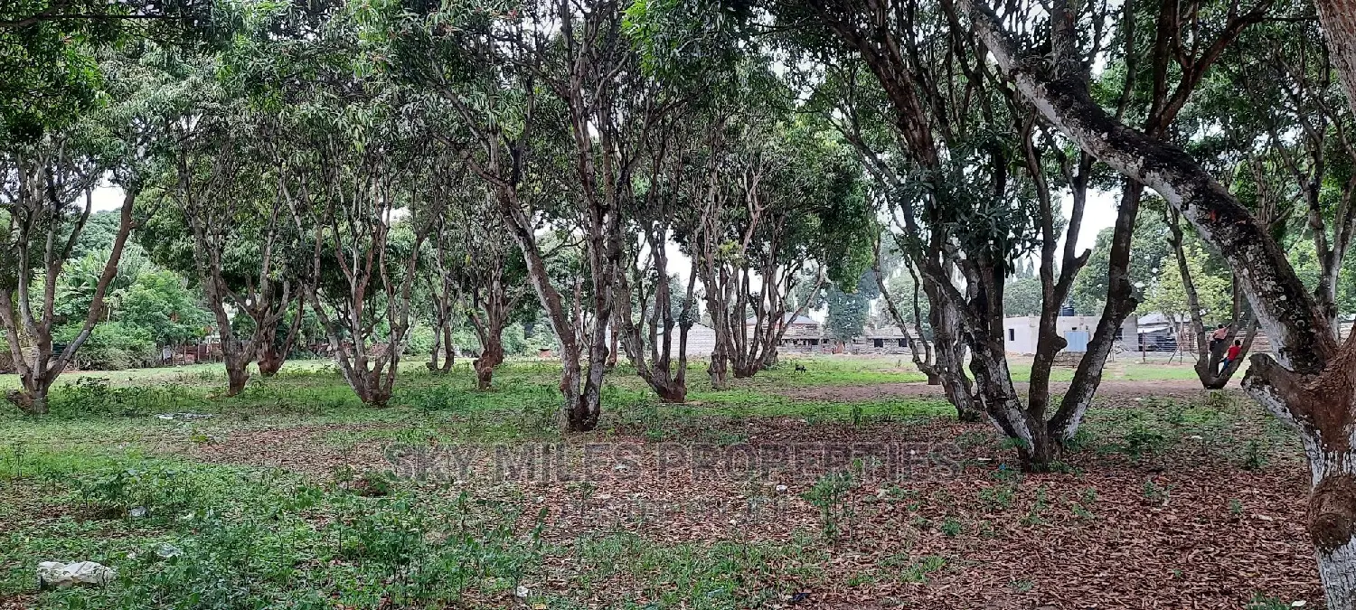 50/100 Plots on Sale Mtwapa