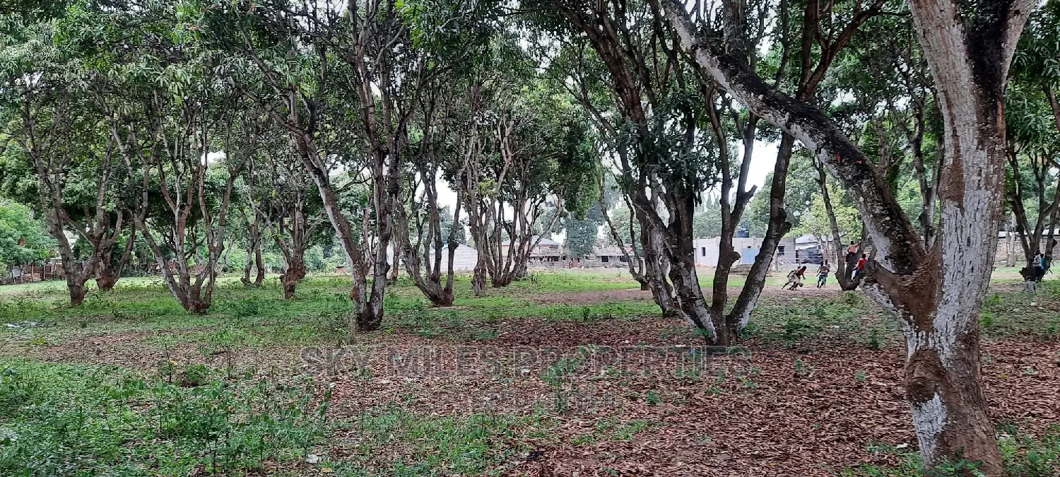 50/100 Plots on Sale Mtwapa