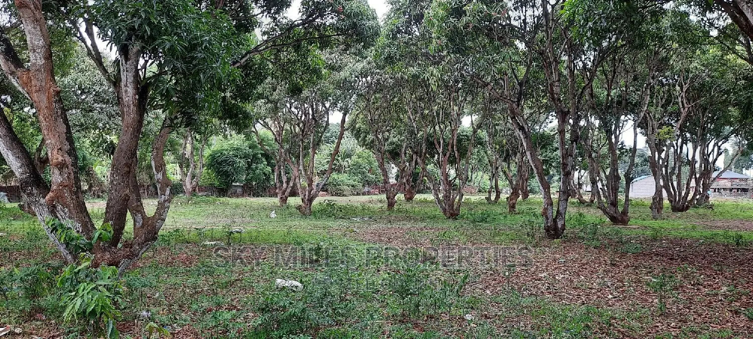 50/100 Plots on Sale Mtwapa