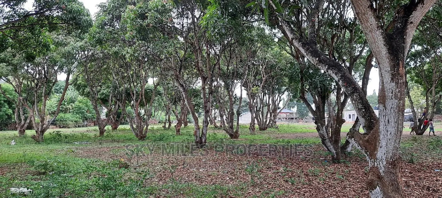 50/100 Plots on Sale Mtwapa