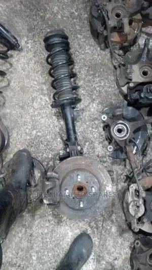 Suzuki Shocks