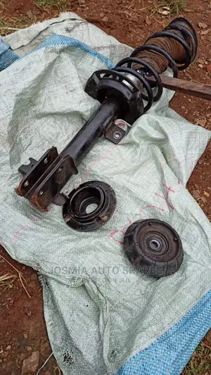 Suzuki Shocks
