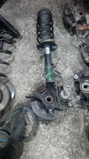 Suzuki Shocks
