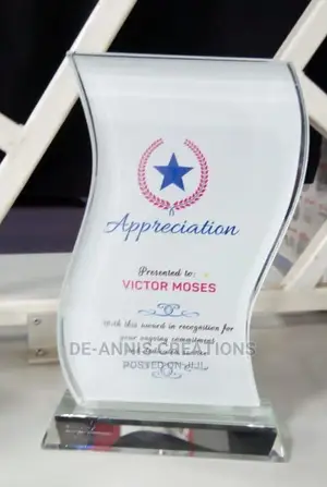 Curvy Award Plaques
