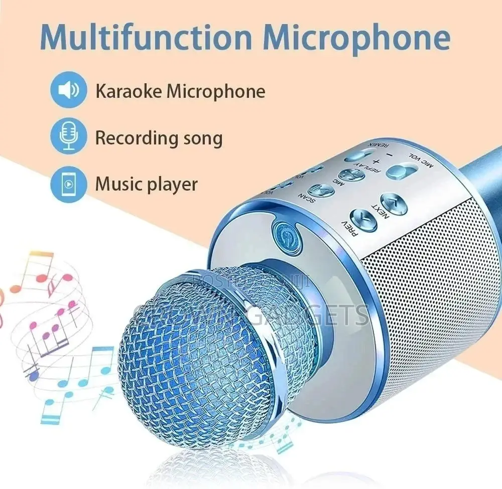 Professional WS858 Portable Bluetooth Karaoke Microphone