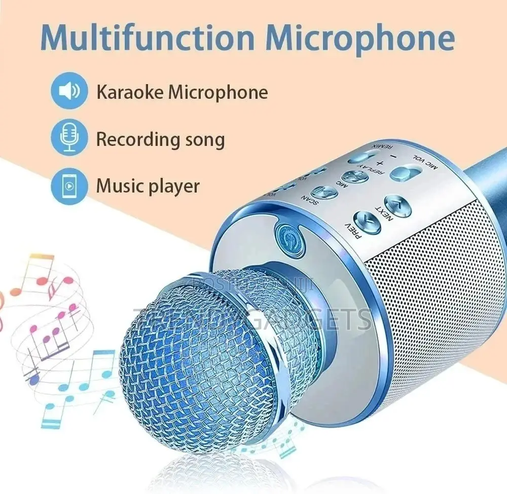 Professional WS858 Portable Bluetooth Karaoke Microphone