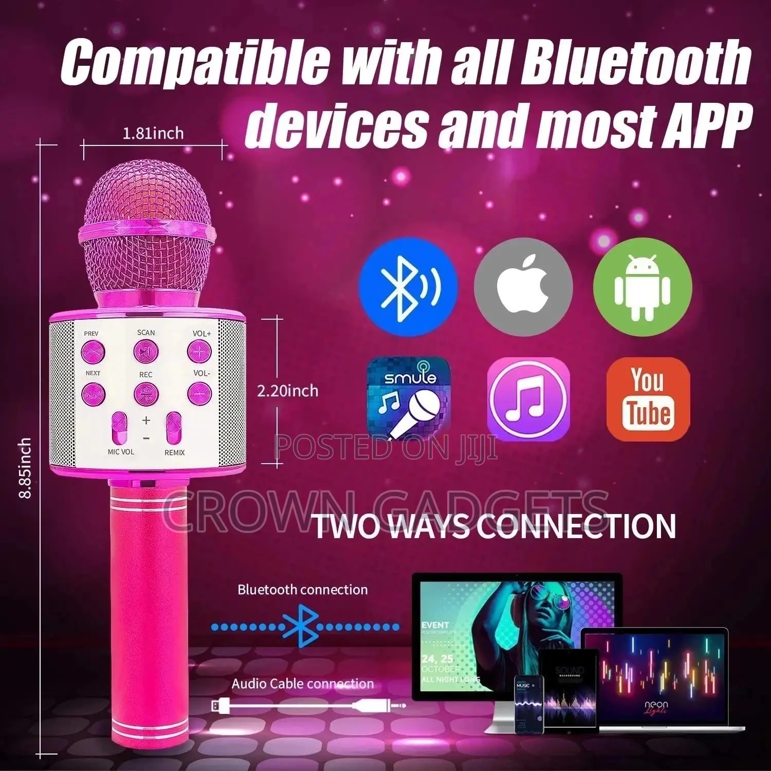 WS-858 Wireless Handheld Microphone Usb Player