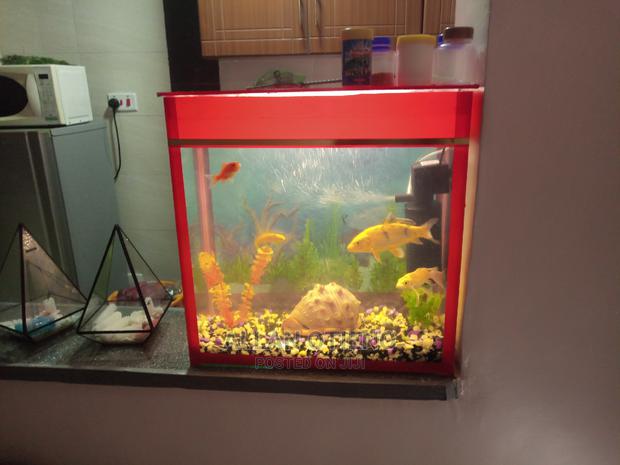 Desktop Aquarium - thumbnail 3