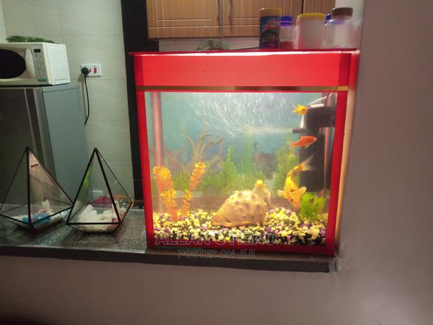 Desktop Aquarium - main view