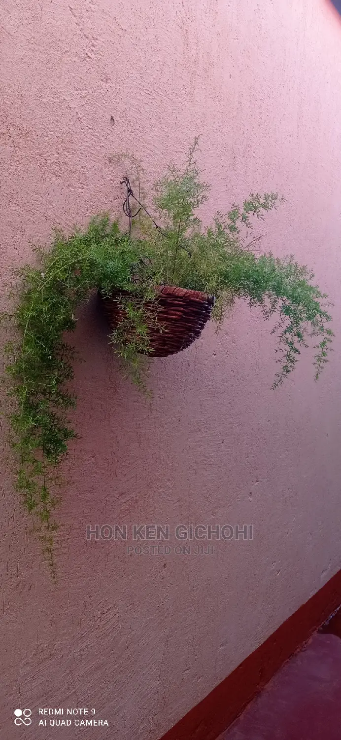 Studio Apartment in Rungiri, Gitaru for rent