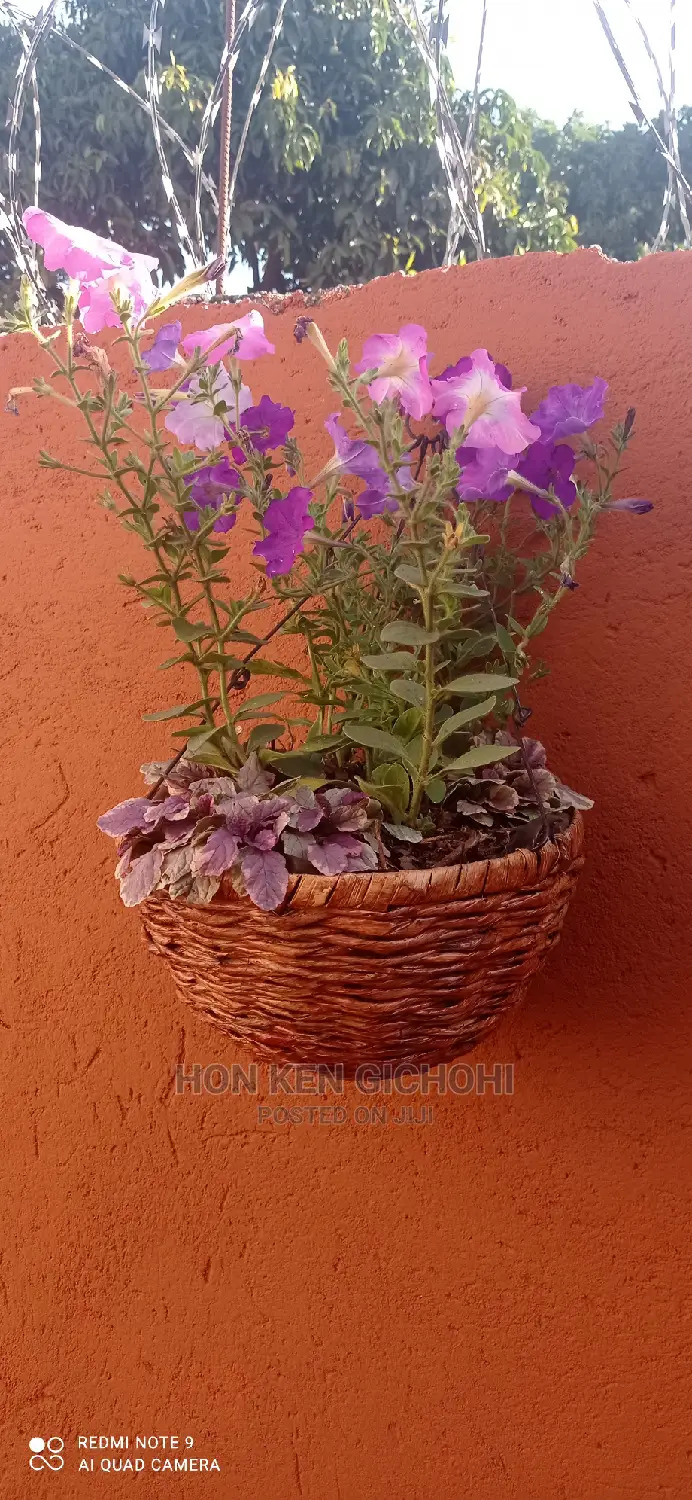 Studio Apartment in Rungiri, Gitaru for rent