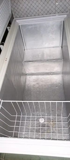 Deep Freezer 550L