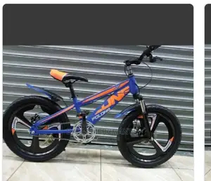 Bike Size 20 With Alloy Rims