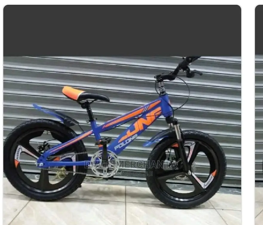 Bike Size 20 With Alloy Rims
