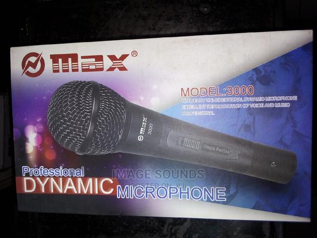 Max Microphone - thumbnail 2