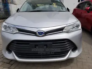 Toyota Axio 2015 Silver