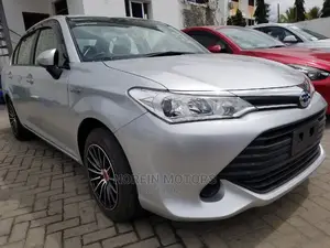 Toyota Axio 2015 Silver