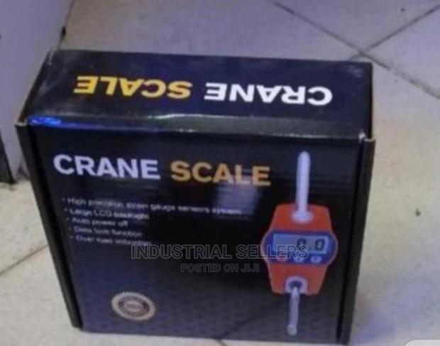 Affordable 300kgs Hook Scale - main view