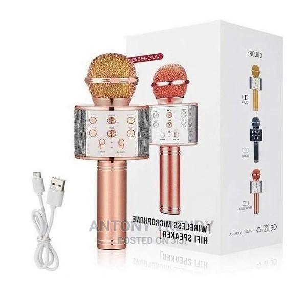 Handheld Mic HIFI Speaker WS858 - main view