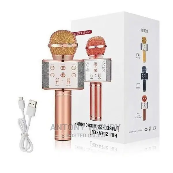 Handheld Mic Hifi Speaker Ws858