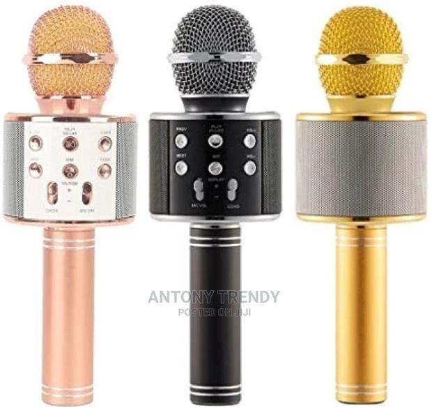 WS-858 Karaoke Mic - main view