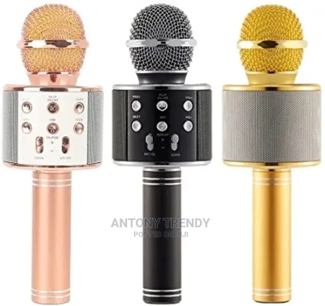 Ws-858 Karaoke Mic