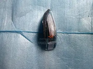 Fielder/Axio Side Mirror Winkler/ Indicator