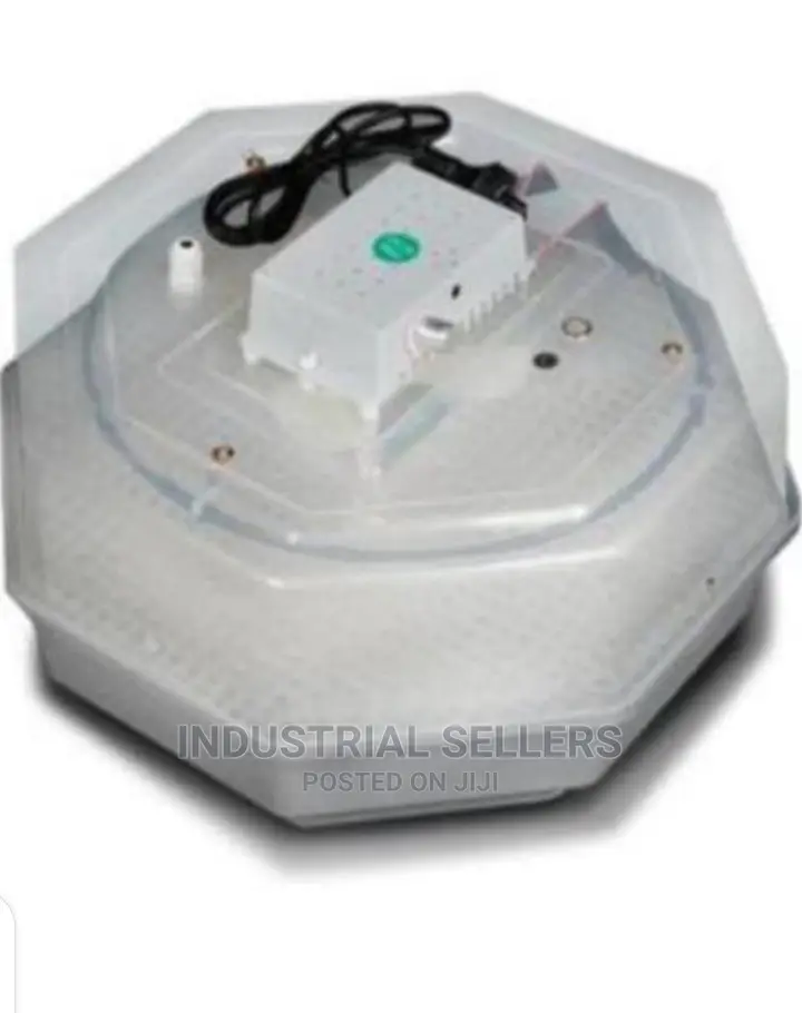Heavy-Duty 60 Egg Incubator