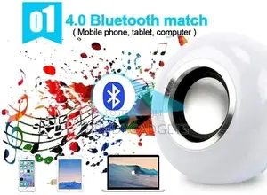 LED Light Bulb With Speaker And Wireless Portable