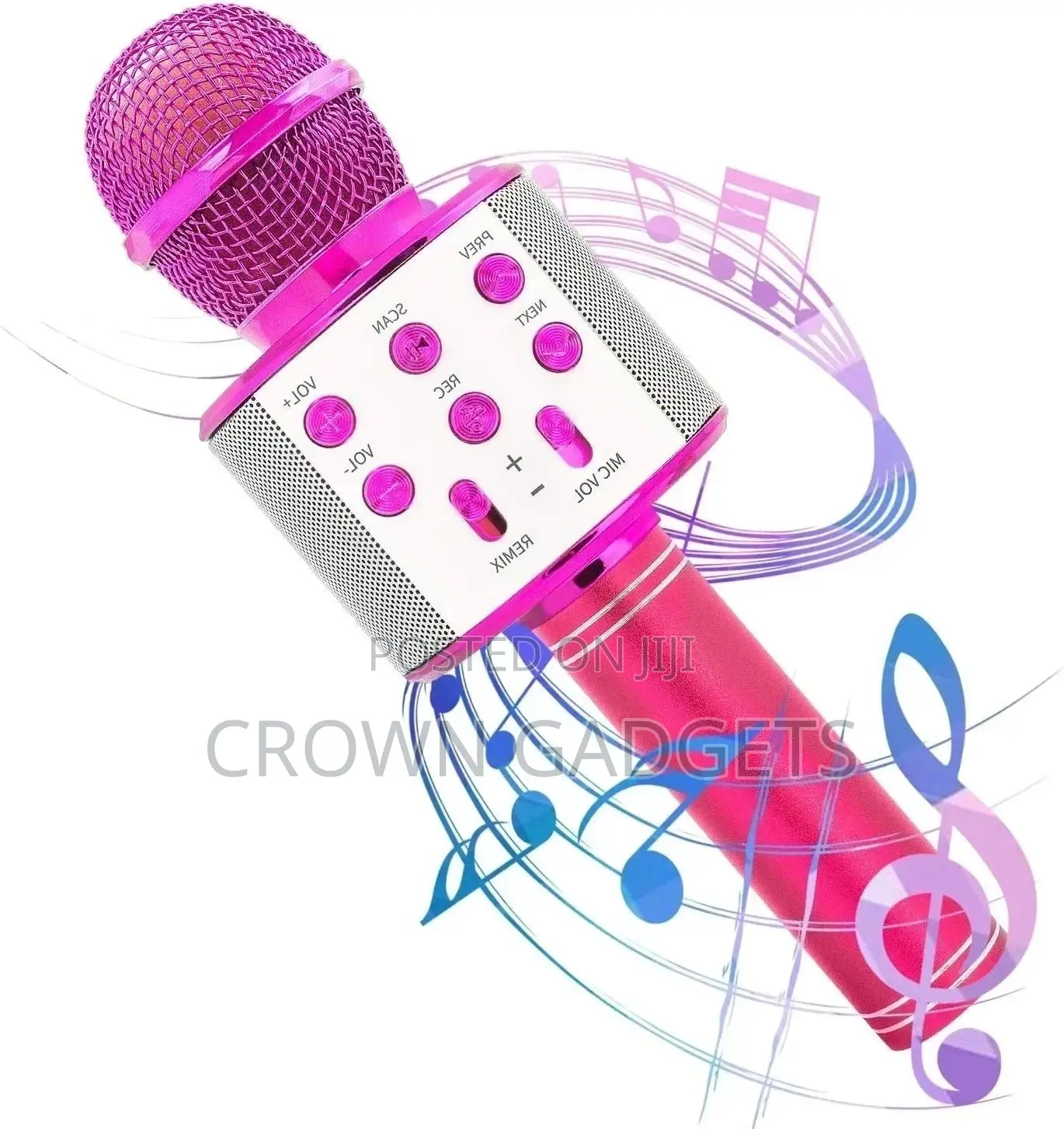 Portable WS 858 Wireless USB Microphone