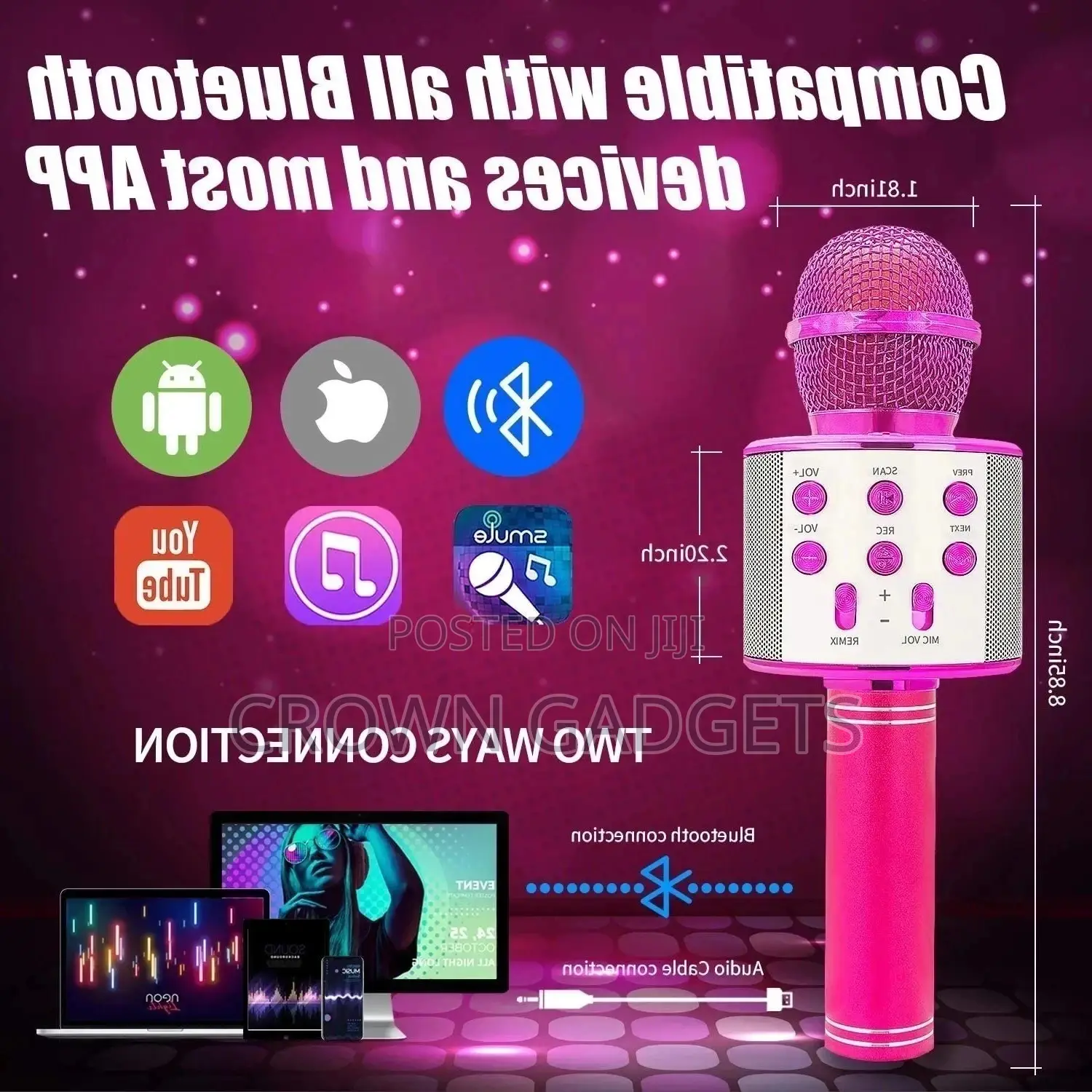WS 858 Wireless Microphone Professional