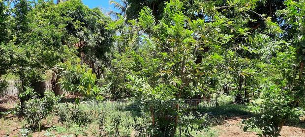 Prime on Acre Mtwapa on Sale - thumbnail 3