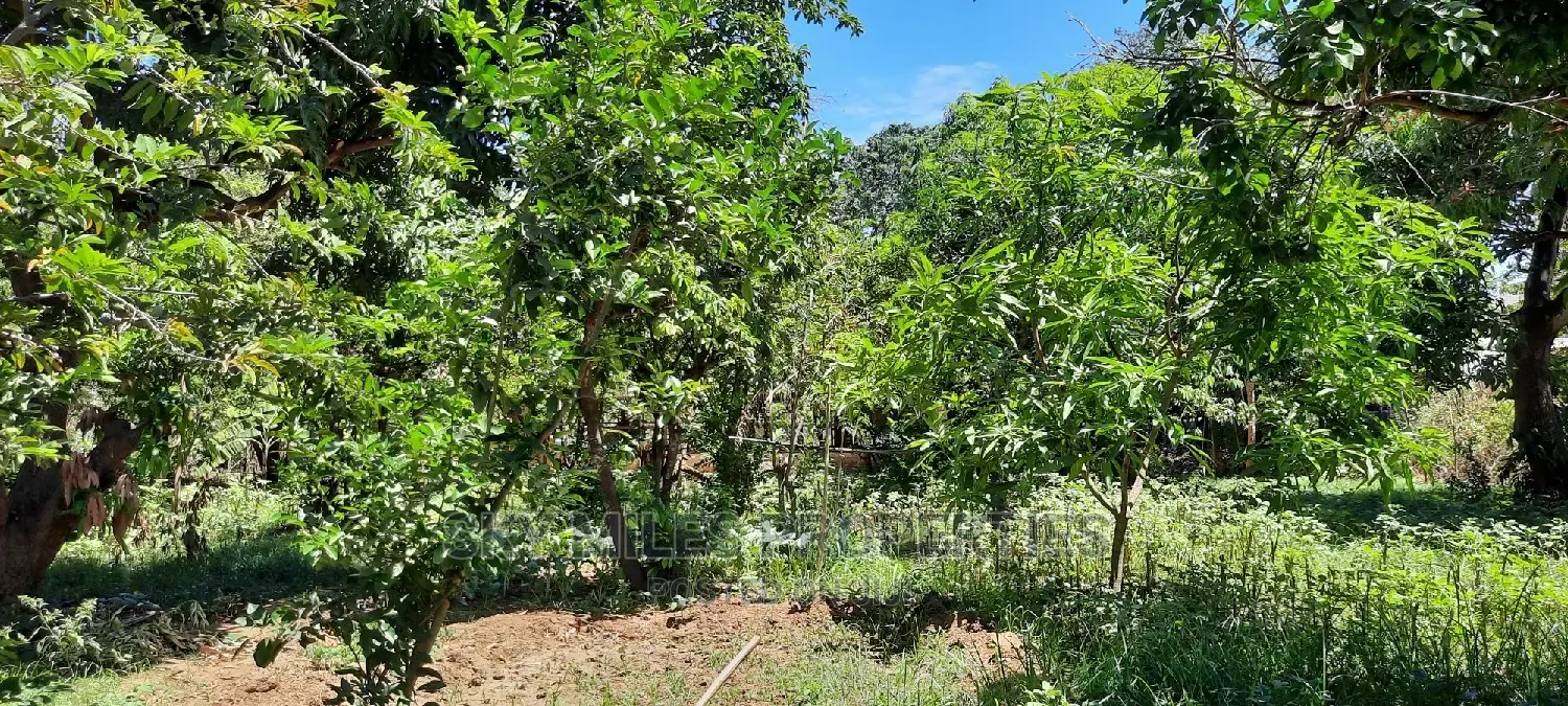 Prime on Acre Mtwapa on Sale