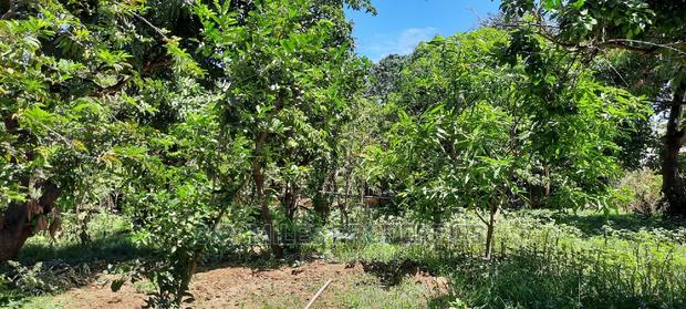 Prime on Acre Mtwapa on Sale - thumbnail 4