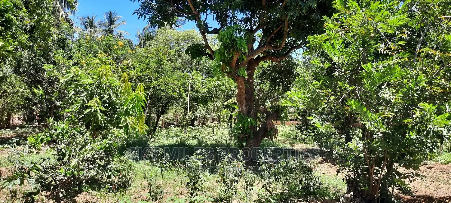 Prime on Acre Mtwapa on Sale