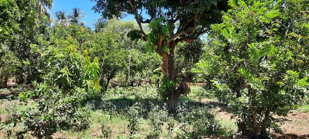 Prime on Acre Mtwapa on Sale - thumbnail 5