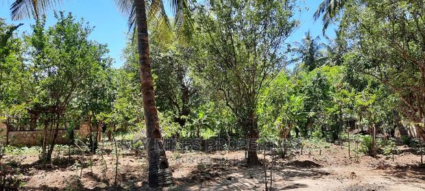 Prime on Acre Mtwapa on Sale - thumbnail 7