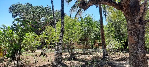 Prime on Acre Mtwapa on Sale - thumbnail 8