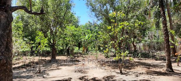 Prime on Acre Mtwapa on Sale - thumbnail 11