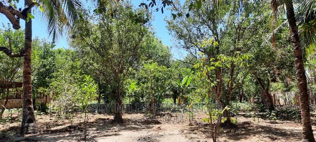 Prime on Acre Mtwapa on Sale - thumbnail 9