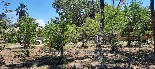 Prime on Acre Mtwapa on Sale - thumbnail 10