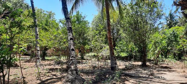 Prime on Acre Mtwapa on Sale - thumbnail 12