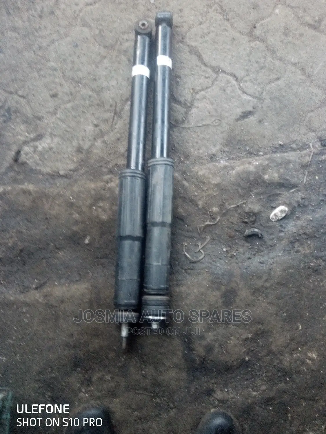 Honda Rea Shocks