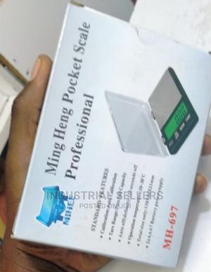 Professional Scale/Pocket - thumbnail 2